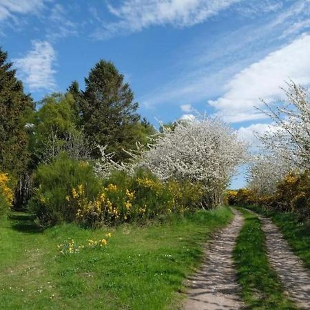 Lower Bruntlands Fochabers Eksteriør bilde