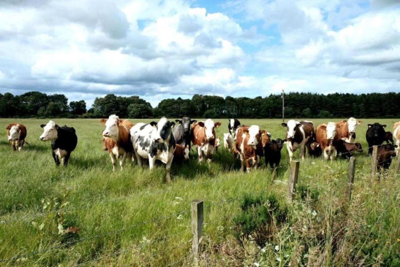 Lower Bruntlands Villa Fochabers Eksteriør bilde